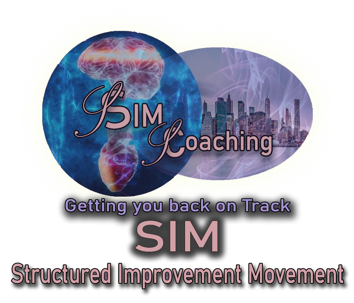 SIM — Structured Improvement Movement. Getting you back on track.